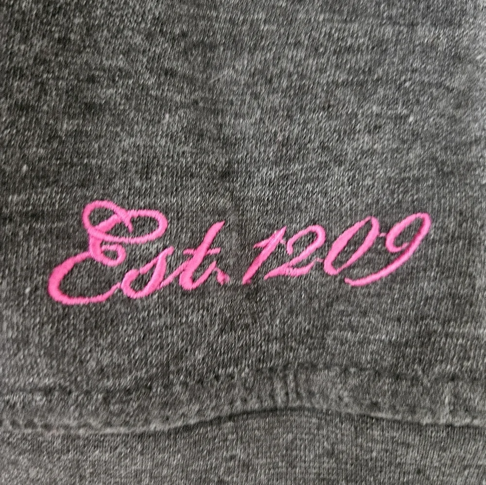 Cambridge University Gray Hoodie, Warm, Size M, Official Merchandise - Picture 6 of 9